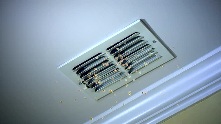 HVAC System Cleaning in Kiel, WI